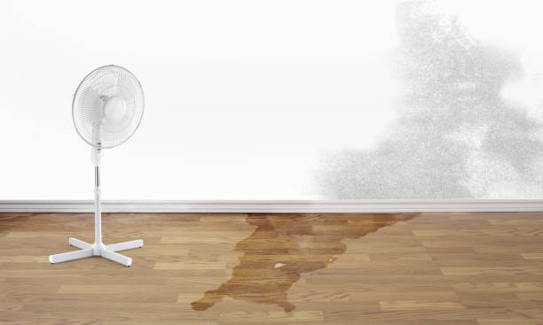 Best Water damage restoration near me  in Schenectady, NY