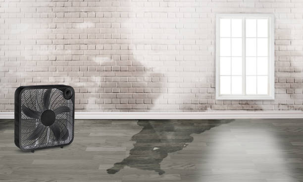 Water damage restoration insurance claims in Schenectady, NY