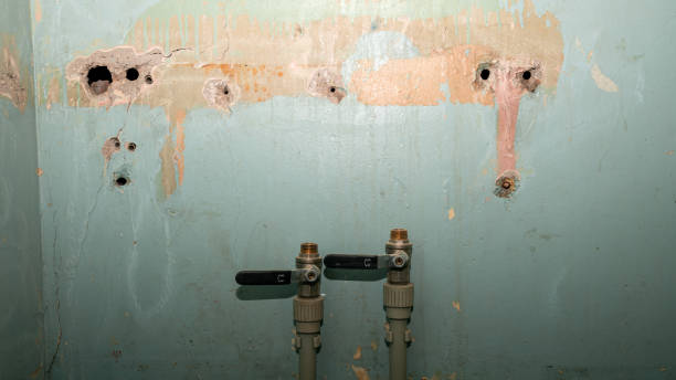 Best Flooded house restoration  in Schenectady, NY