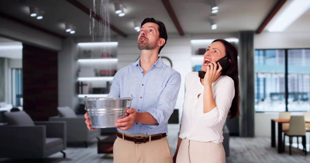 Best Local water damage restoration  in Schenectady, NY